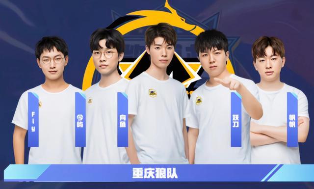 为何选择科 为何选择科