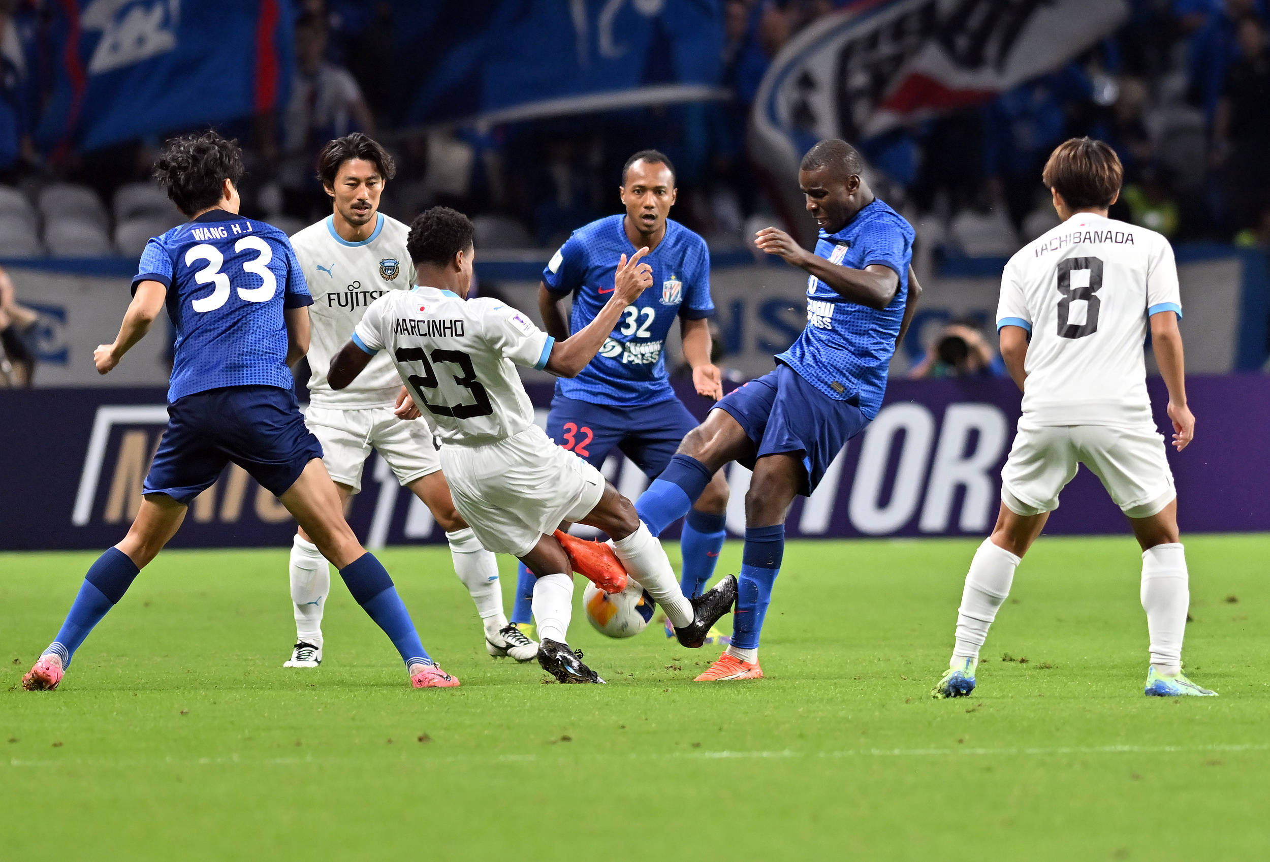 髋关节置换 髋关节置换