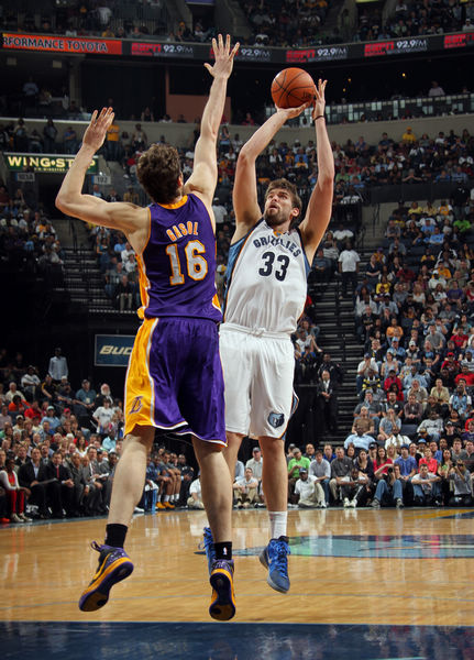 的决策自由 的决策自由