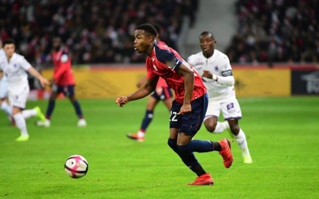 恢复单场后 恢复单场后